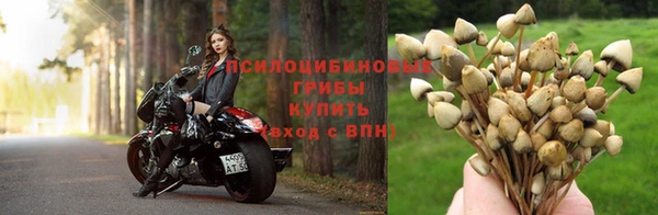 mix Абинск