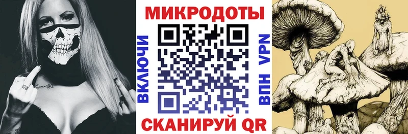 сколько стоит Дятьково Галлюциногенные грибы MAGIC MUSHROOMS